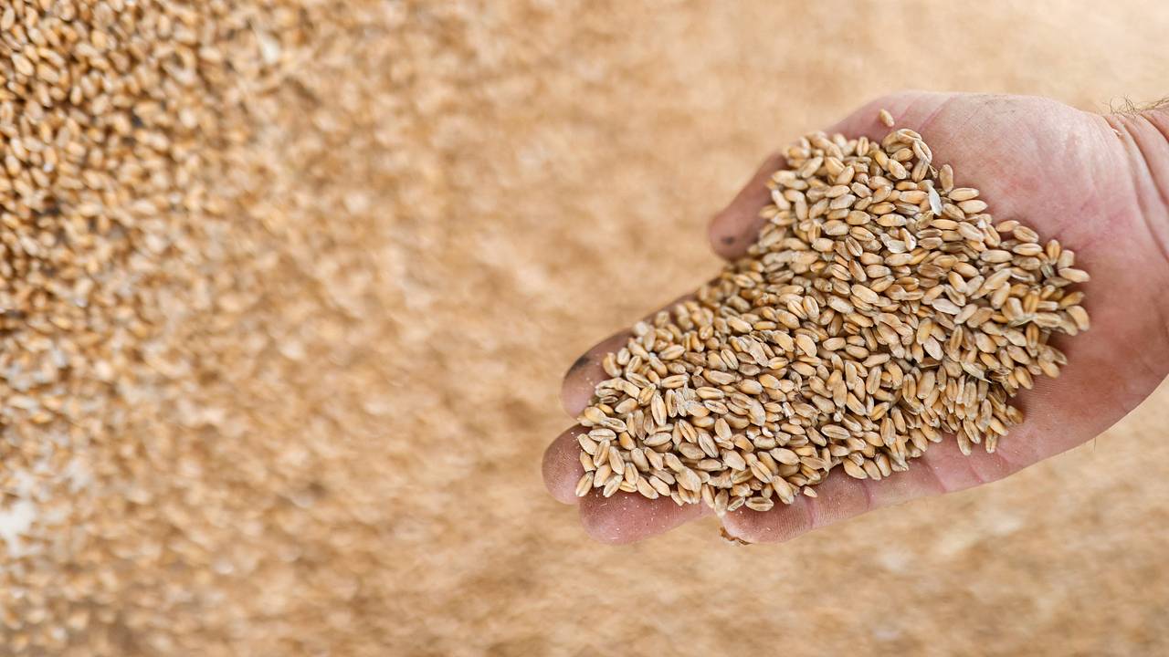 Госдеп США ответил на критику относительно получателей зерна
