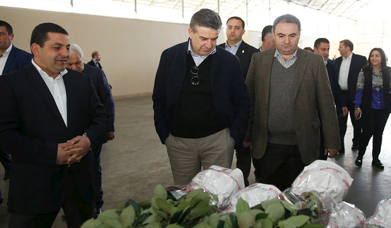 Կոտայքում ջերմոցային տնտեսությունը $30 մլնի ներդրում կանի