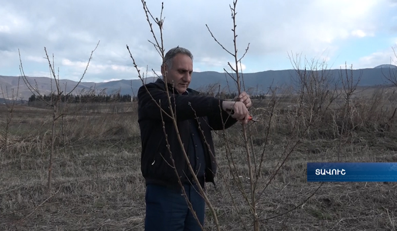 European plats in Armenian soil