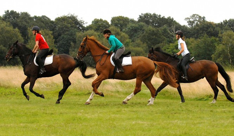 Hypotherapy for Kharberd orphans