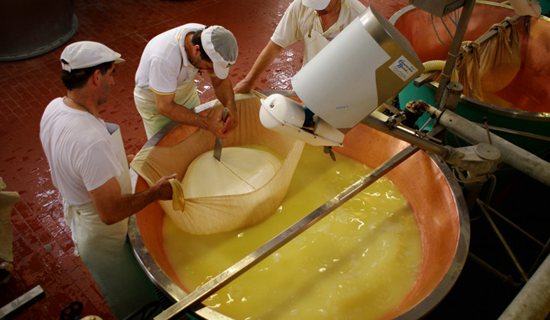 ՀՀ-ում մեծացել է պանրի արտադրության քանակը