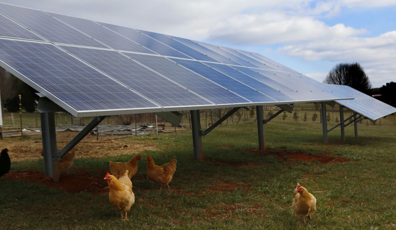 Բացվել է կանաչ տեխնոլոգիաների հայկական կենտրոն