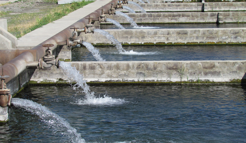 Ձկնաբուծարանների օգտագործած ջուրն Արաքս չի հոսի