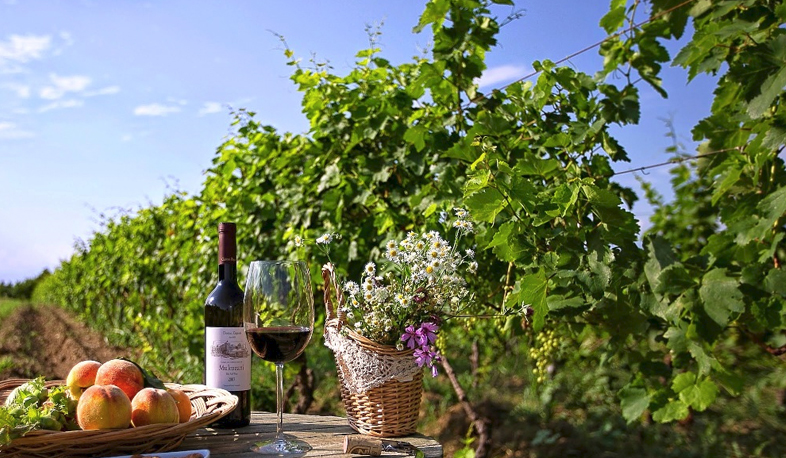 Areni develops hotel and restaurant business