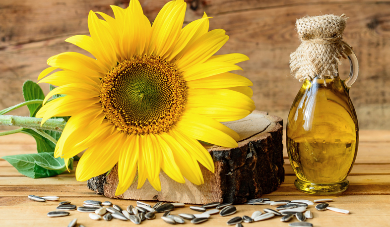 Ձեթը, որով նախաճաշ եք պատրաստել, կարող է բիովառելիք դառնալ