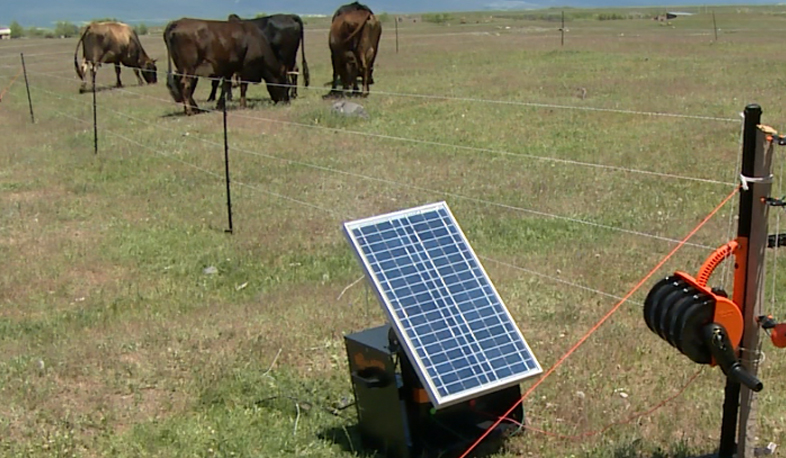 Էլեկտրական հովիվը 12 վոլտ լարմամբ ցանկապատ է