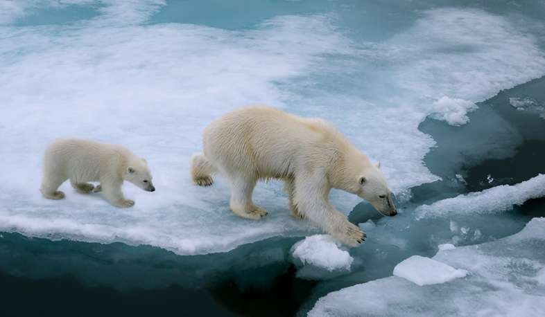 ԱՄՆ-ն դուրս է գալիս գլոբալ ջերմացման դեմ պայքարի համաձայնագրից