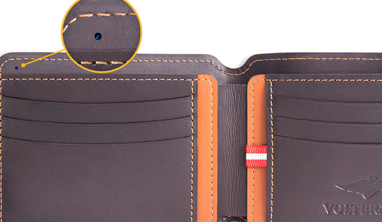 Վոլթերման դրամապանակը նկարում է ենթադրյալ գրպանահատին