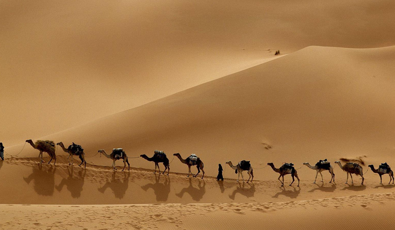 «Մետաքսի ճանապարհը» վերագործարկելու համար Չինաստանը ներդրել է 14,5 միլիարդ դոլար