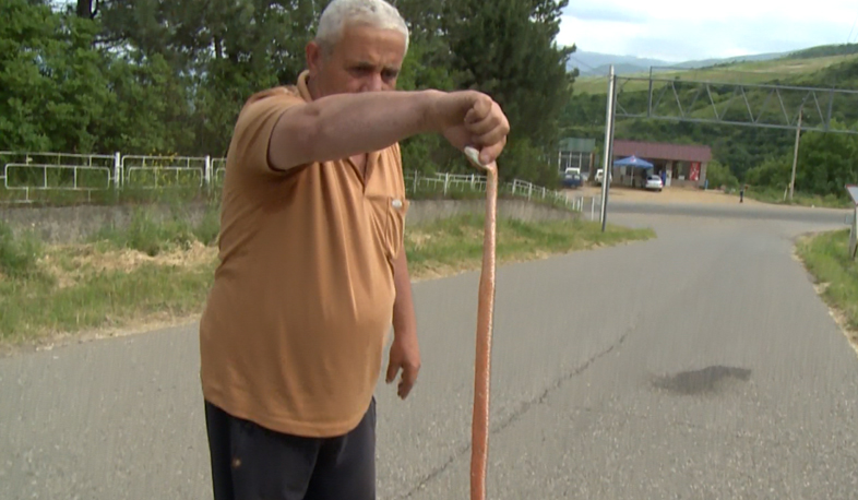 Ոսկևանում վտանգավոր օձ է հայտնվել