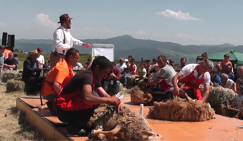 Սյունիքում կայացավ ոչխար խուզելու փառատոնը