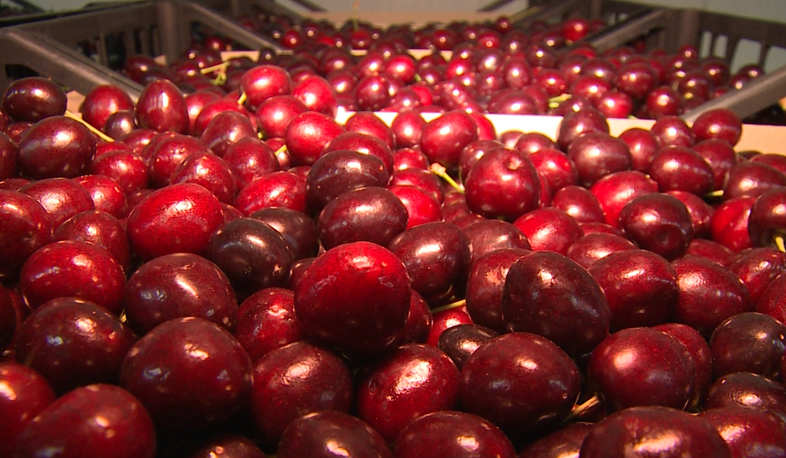 Արտահանման փաստաթղթավորումը կիրականացվի առավելագույնը 20 րոպեում