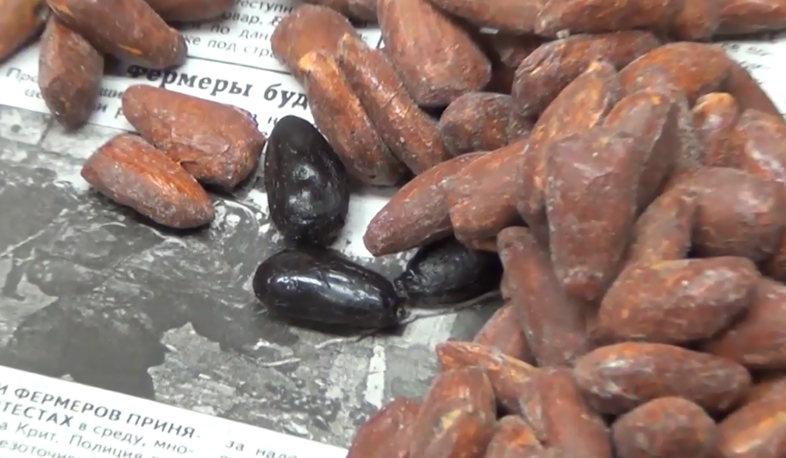 Drugs in peanuts: Iran citizen arrested