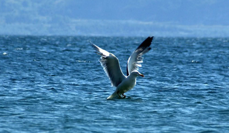 Lake Sevan’s solid pollution