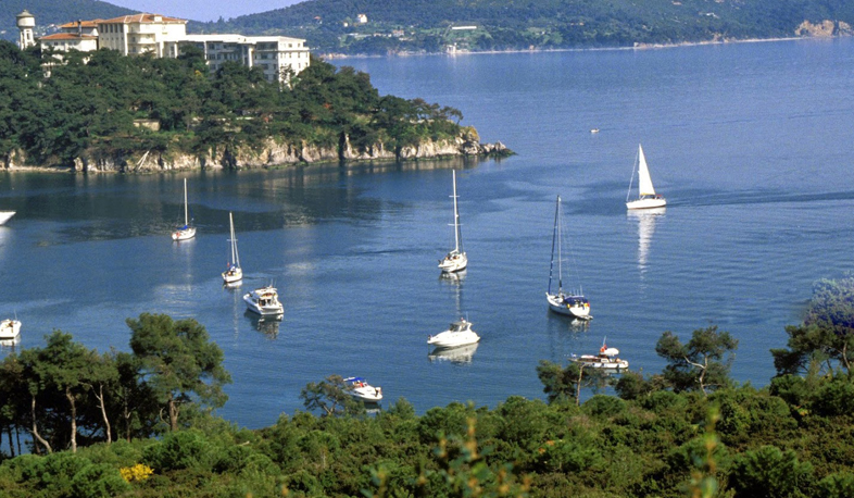 Էրդողանը Ստամբուլում ձերբակալված իրավապաշտպաններին լրտեսներ է անվանել