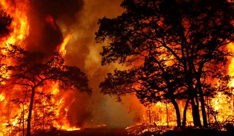 Խոշոր հրդեհ Վայոց ձորում