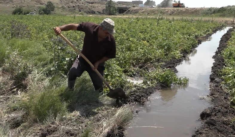 Շիրակում երաշտ է