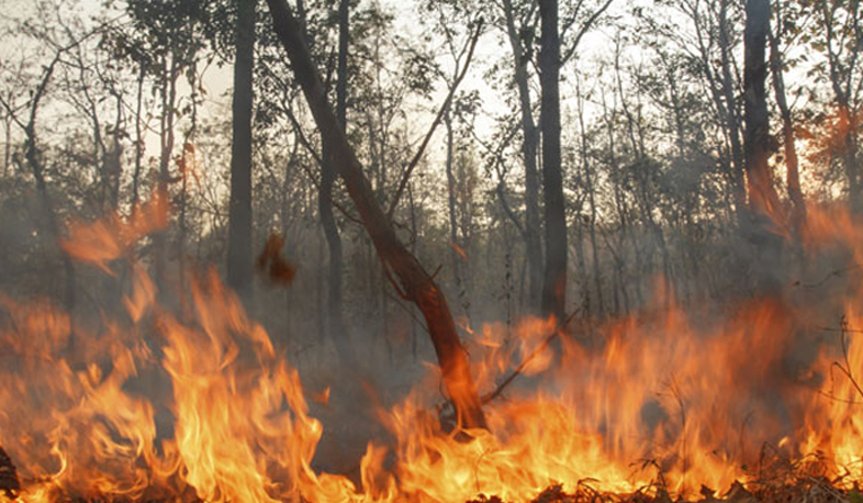 Վայոց ձորում 250 հեկտար բուսածածկ տարածք է այրվում