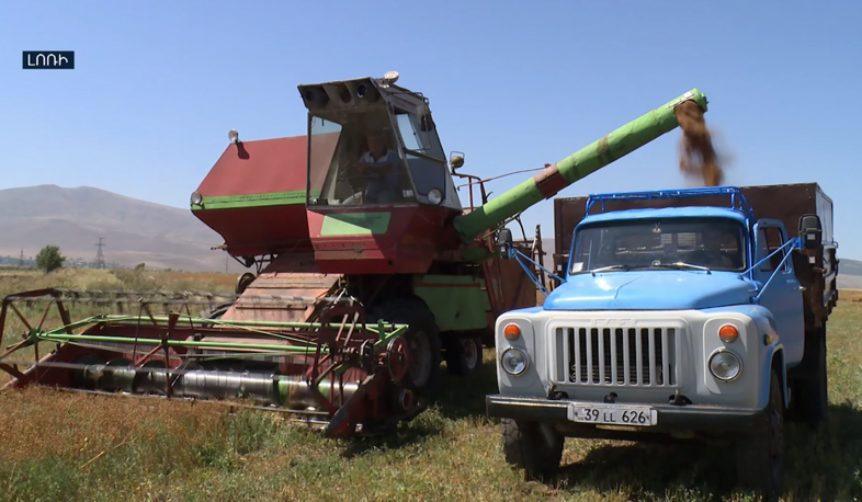 Arable lands in Lori region grow