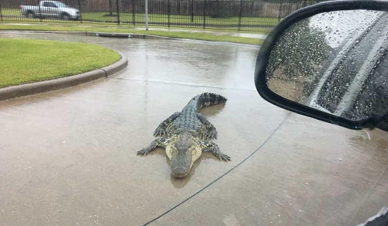 Աղետներ աշխարհի տարբեր անկյուններում