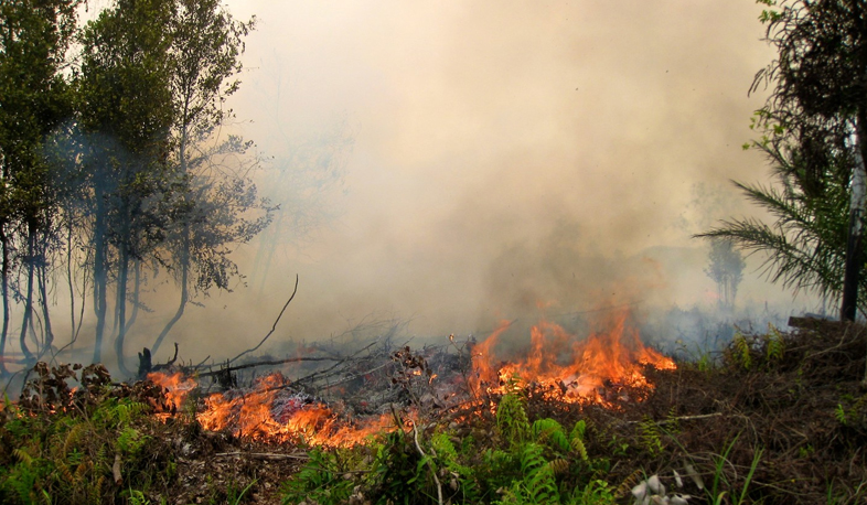 Fire extinguished in Jajur, Byurakan continues to fight