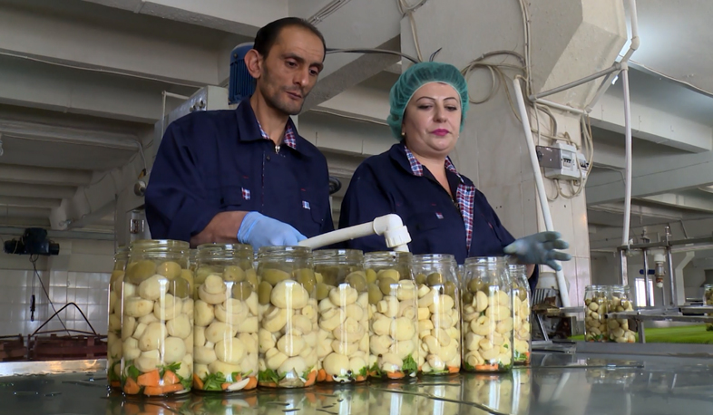 Նոր ուղղություններ՝ գյուղատնտեսությունում