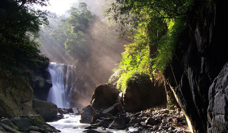 ՀՀ Կառավարությունում քննարկվել են անտառային բարեփոխումների ծրագրերը