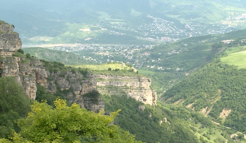 Տավուշում վառելափայտի խնդիր չի լինի. մարզում սպասում են ներդրումների