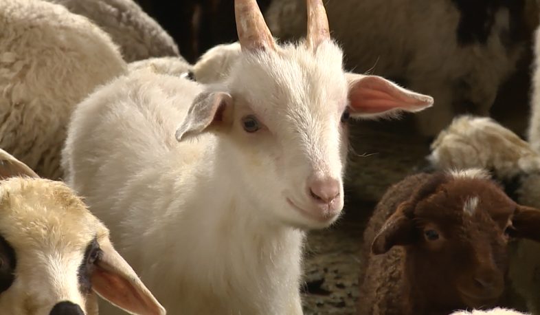 Reforms in agricultural sector