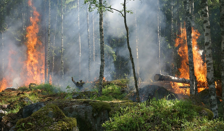 Steps to reduce calamity risks