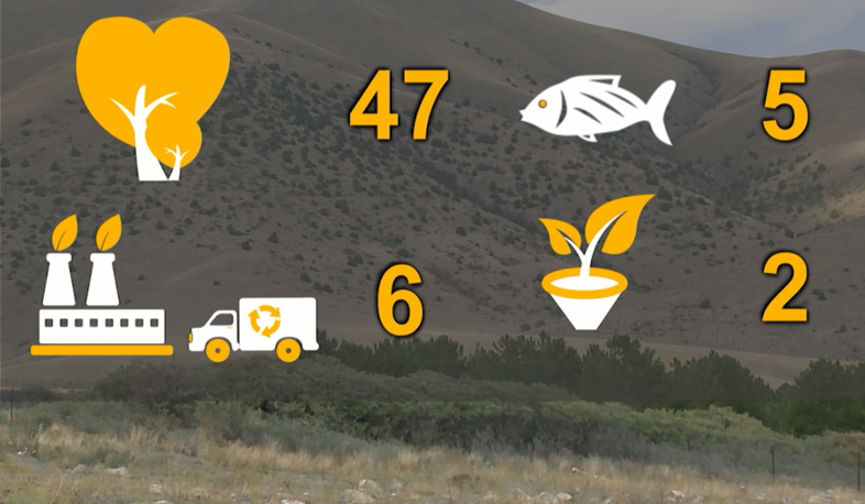 60 բնապահպանական իրավախախտում մեկ շաբաթում