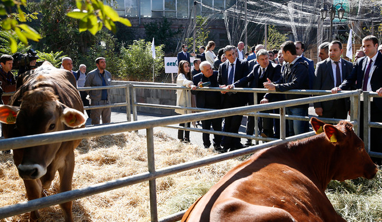 ՀՀ Վարչապետը այցելել է «ԱրմՊրոդԷքսպո» գյուղատնտեսական ցուցահանդես