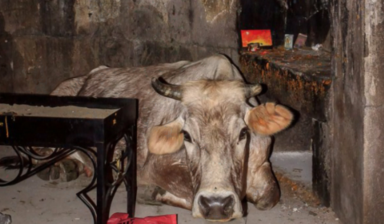 Քոբայրավանք. եկեղեցին աղոթքի վայր է