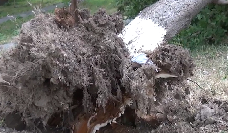 Փոթորիկ է սպասվում