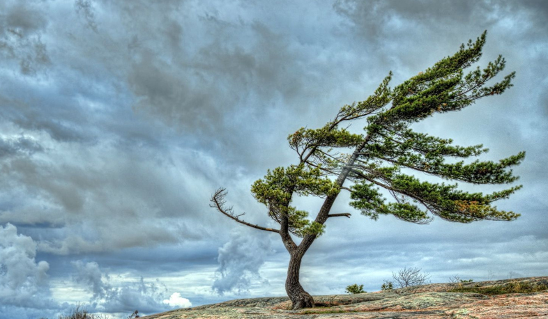 Strong wind slows down