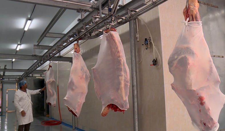 Ֆինանսական աջակցություն սպանդանոց կառուցողներին