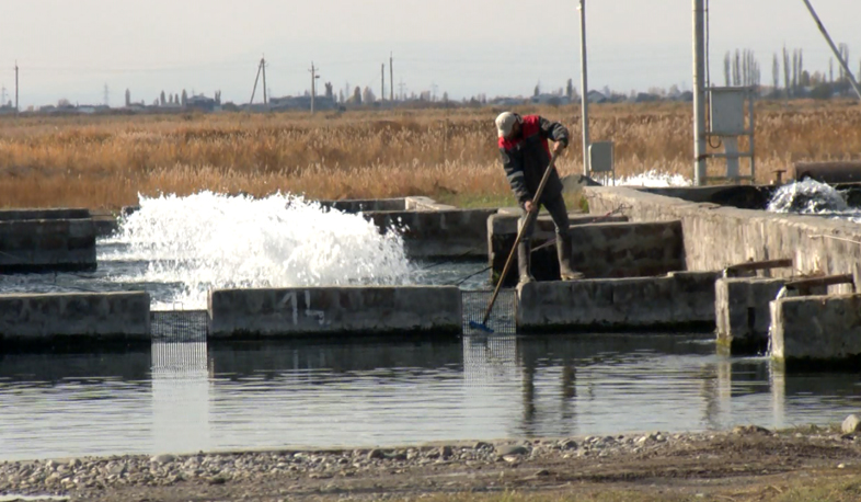 Ջրի խնայողության նոր մեխանիկա