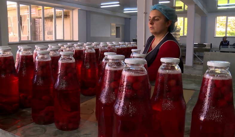 Մանր արտադրողների գյուղմթերքը կարտահանվի մեկ բրենդով