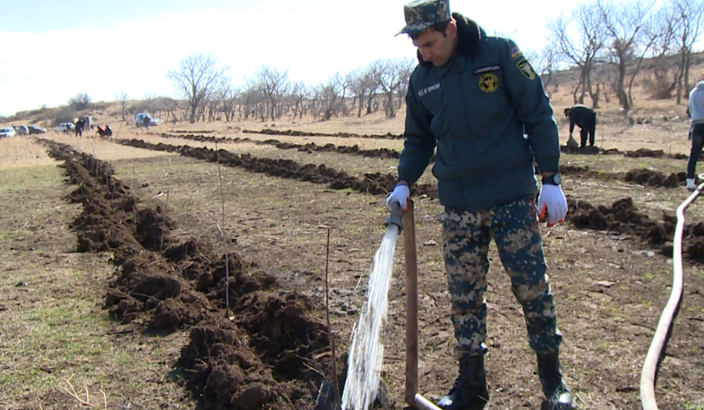 Համահայկական ծառատունկ