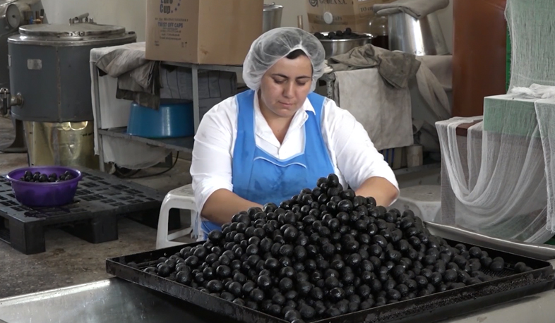 ԱԱՀ-ի 8,5 մլրդ դրամի վերադարձ բիզնեսին