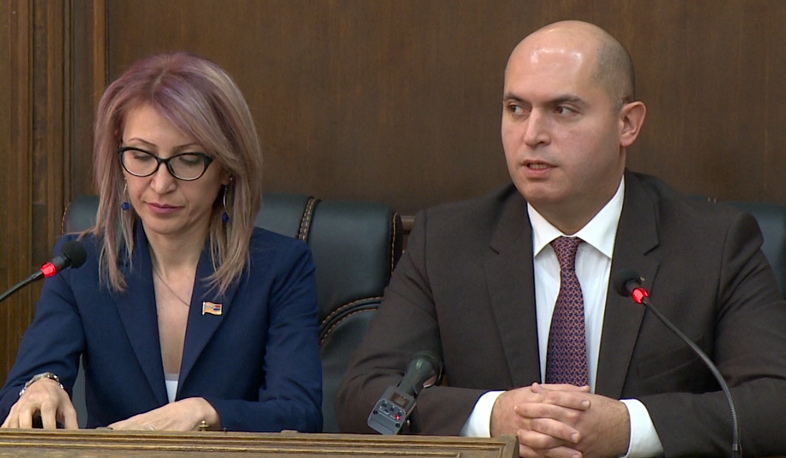 Euronest adopts urgent Armenian resolution