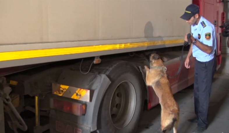 Թմրամիջոցների մաքսանենգության 8 դեպք 9 ամսում