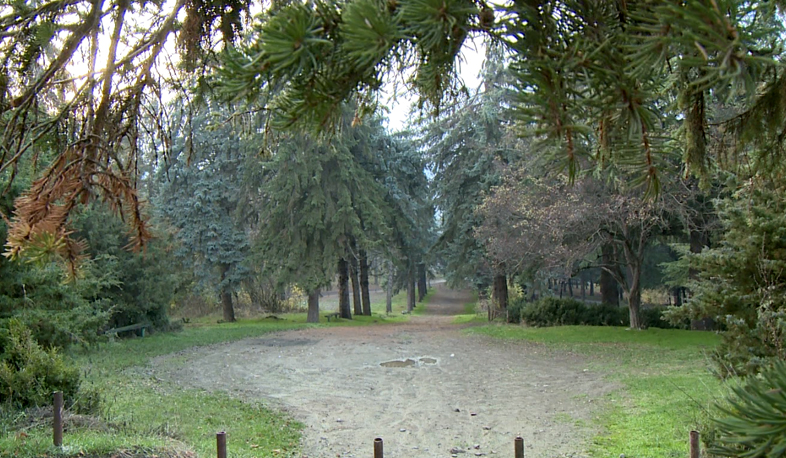 Բերդի դենդրոպարկը կվերակենդանանա