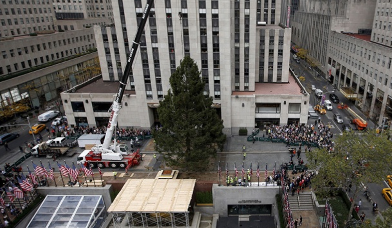 Նյու Յորքում տեղադրվել է գլխավոր տոնածառը