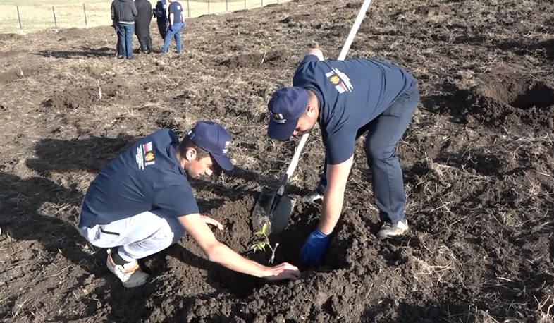 Սահմանամերձ անմշակ հողերը 2 տարուց բերք կտան