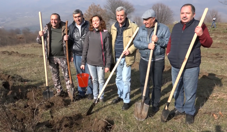 5600 ծառ «Դիլիջան» ազգային պարկում