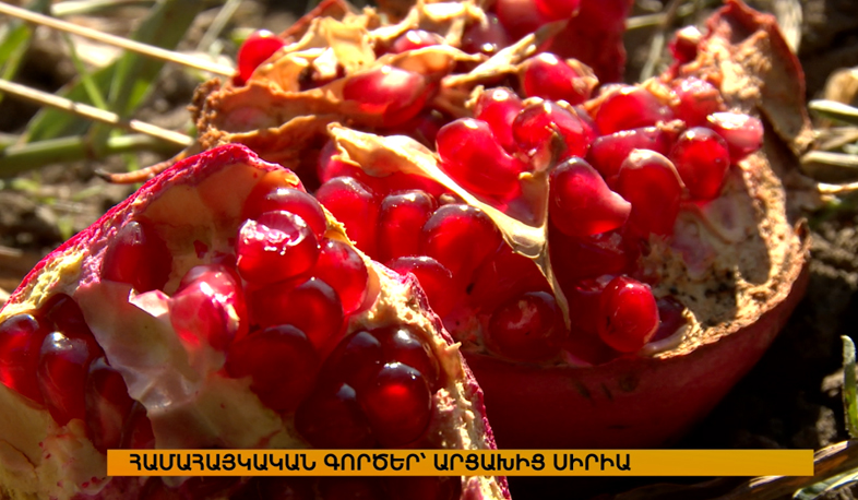 Համահայկական գործեր Արցախից Սիրիա