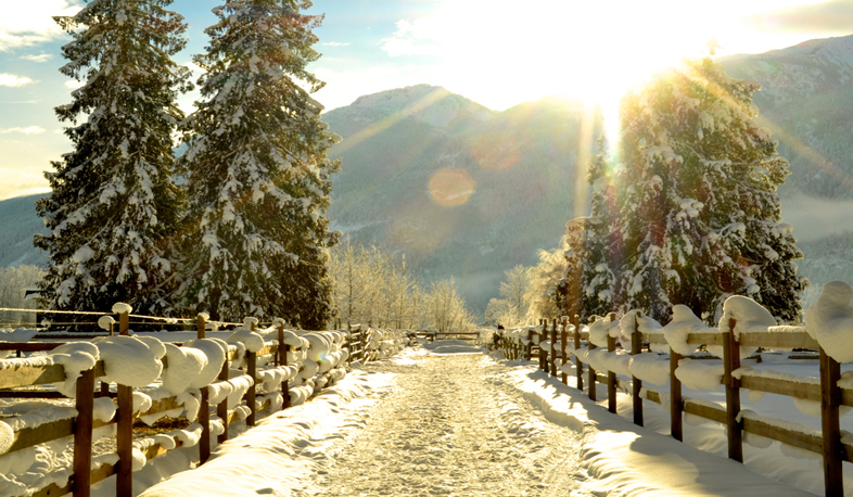 Warm winter with cold days