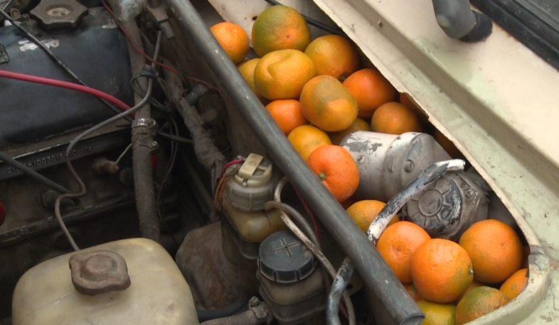 Ապօրինի ոչ մի ապրանք երկիր չի մտնի