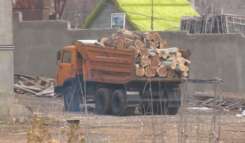 Բարեգործական ծառահատում Դավթաշենում